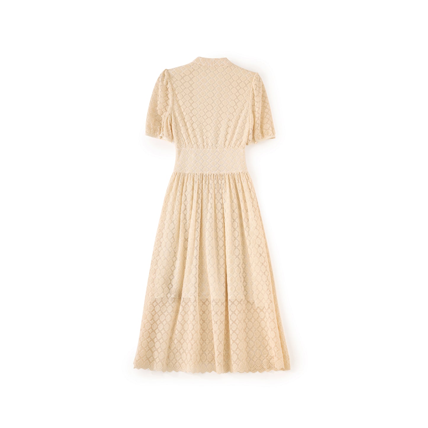 Elin embroidery mesh midi dress